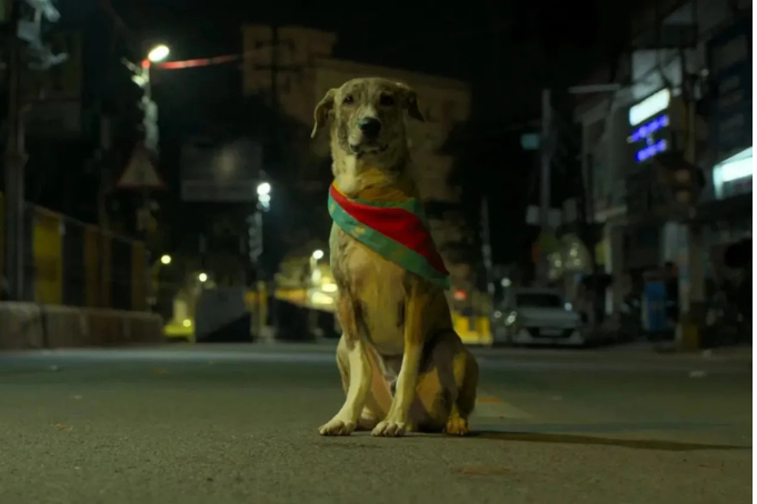 ‘Ohh My Dog’ Review: A Paw-sitively Thrilling Tale Of Courage, Crime And Canine Loyalty
