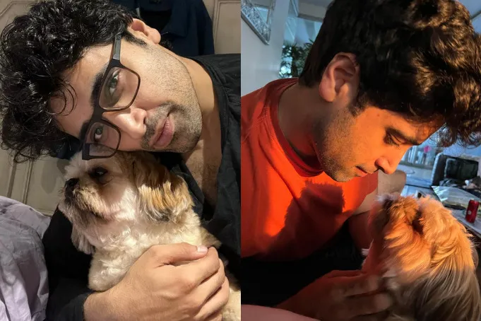Adivi Sesh on His Initiative to Protect Stray Dogs in the Rains: ‘All Living Creatures Deserve a Life Full of Love’ (EXCLUSIVE)